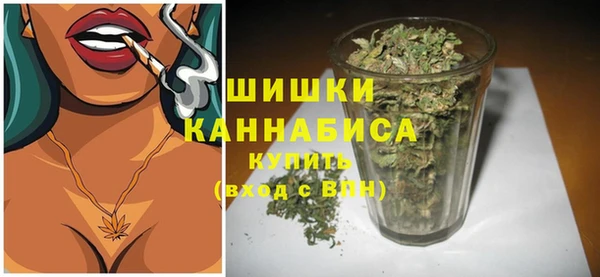 ПСИЛОЦИБИНОВЫЕ ГРИБЫ Медвежьегорск