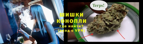 сатива Мегион