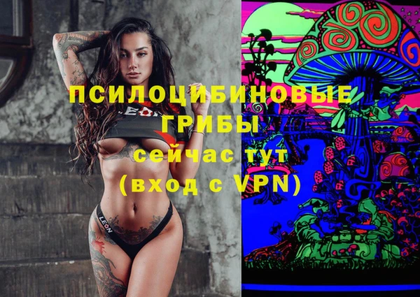 дживик Магас