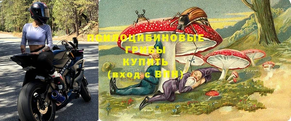 дживик Магас