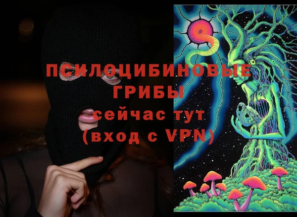МДПВ Магадан