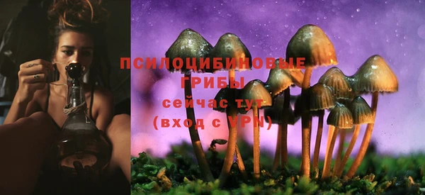 дживик Магас
